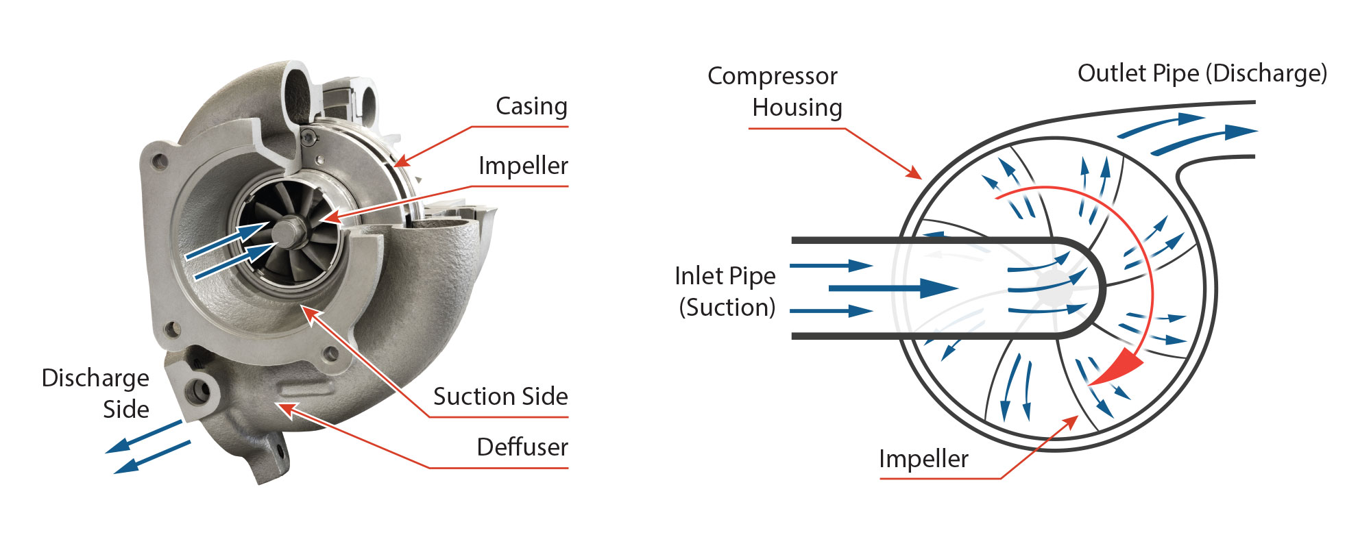 Rotary vane compressor internals