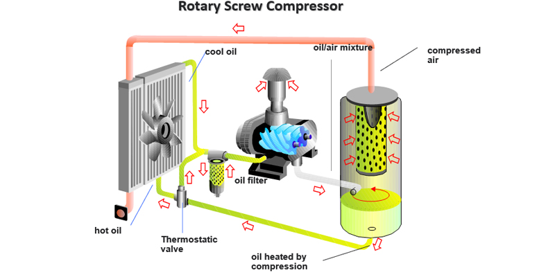 Oil-free compressor for pharma